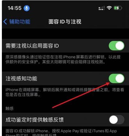 海北苹果14维修网点分享iPhone14注视感知功能有什么用 