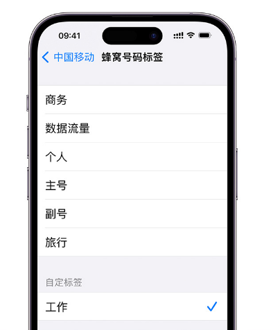 如何在 iPhone 上使用双卡?iPhone 双卡功能常见问题解答